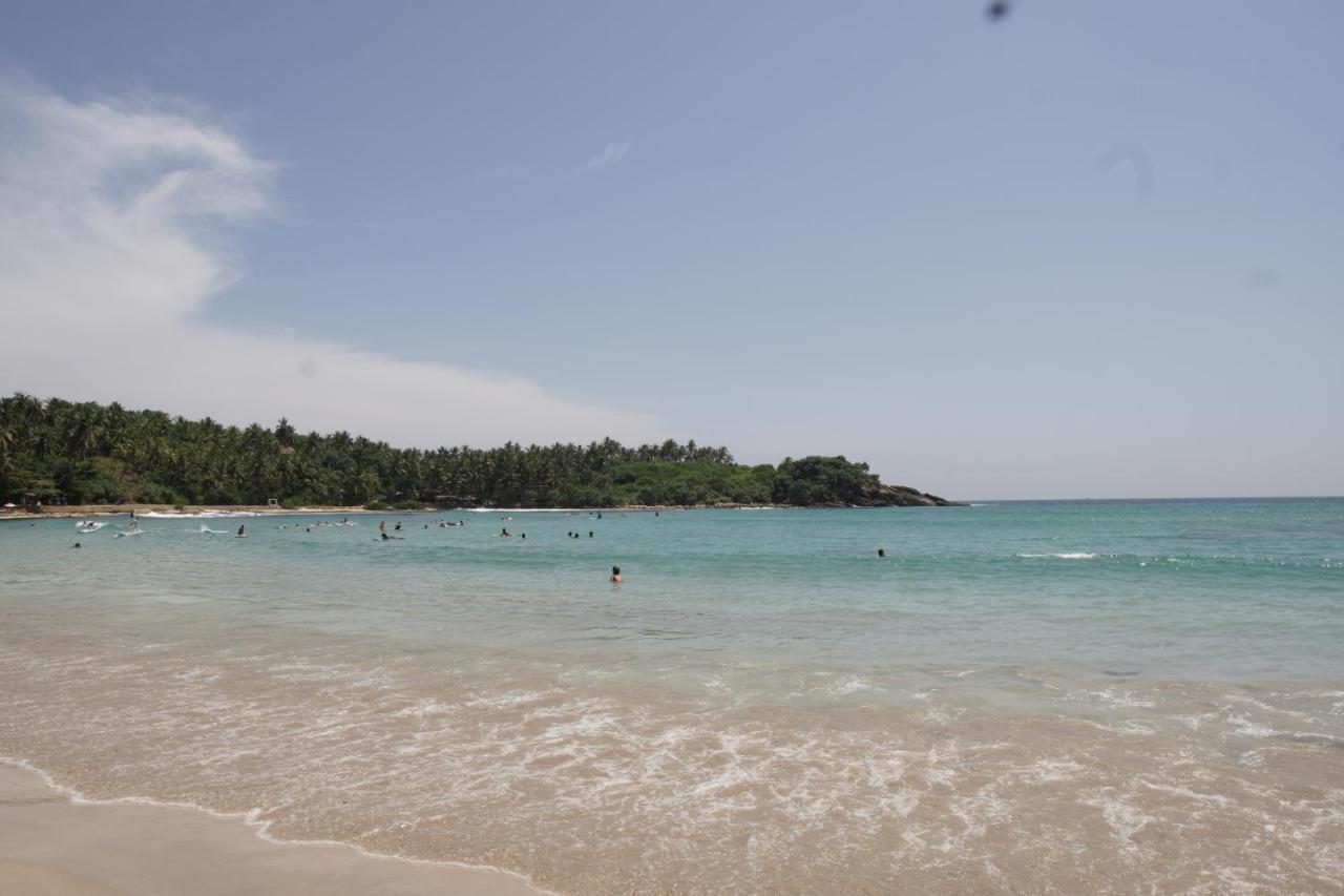 فندق Surf Nest Hiriketiya ديكويلاّ تين المظهر الخارجي الصورة
